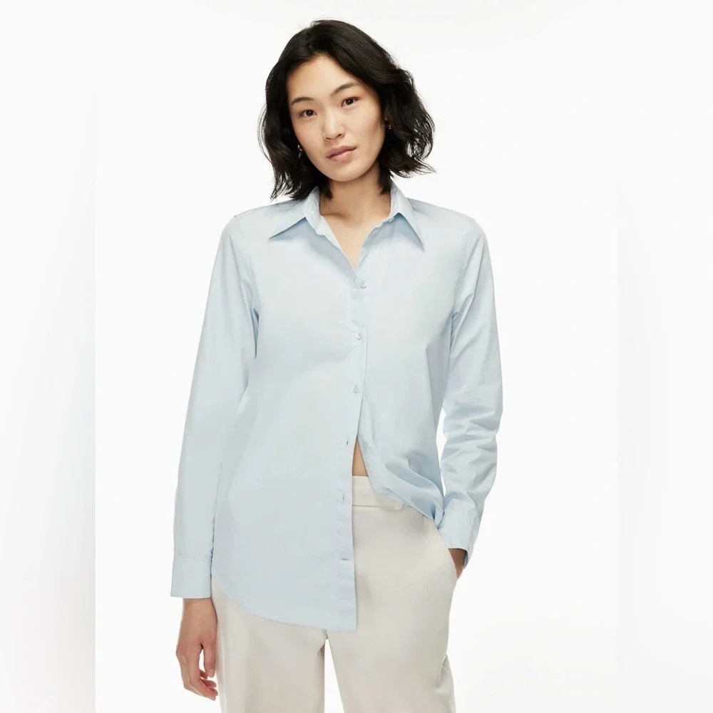 Aritzia Babaton essential classic shirt